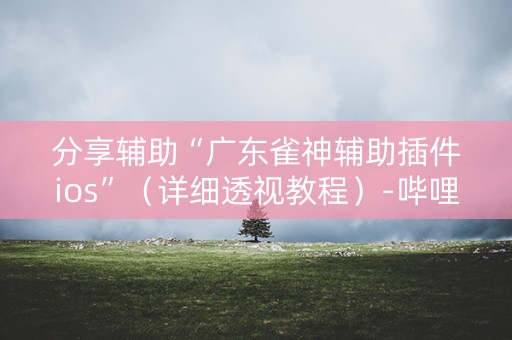 分享辅助“广东雀神辅助插件ios”（详细透视教程）-哔哩哔哩
