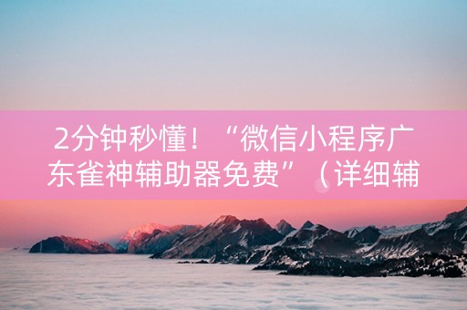 2分钟秒懂！“微信小程序广东雀神辅助器免费”（详细辅助教程）-哔哩哔哩