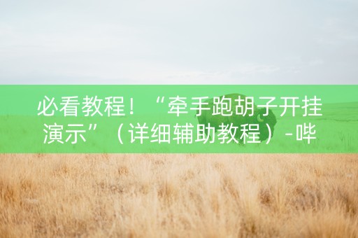 必看教程！“牵手跑胡子开挂演示”（详细辅助教程）-哔哩哔哩