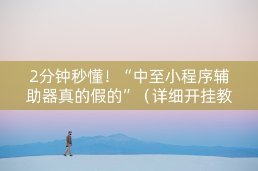 2分钟秒懂！“中至小程序辅助器真的假的”（详细开挂教程）-哔哩哔哩