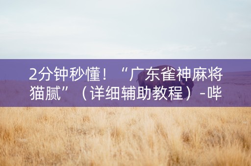 2分钟秒懂！“广东雀神麻将猫腻”（详细辅助教程）-哔哩哔哩