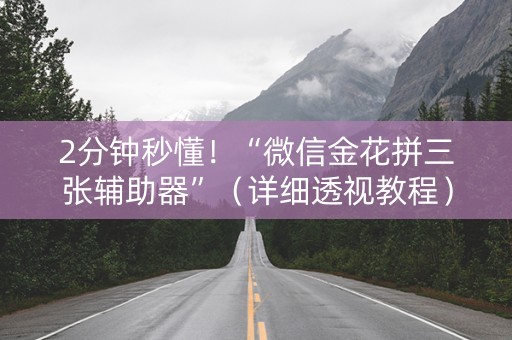 2分钟秒懂！“微信金花拼三张辅助器”（详细透视教程）-哔哩哔哩