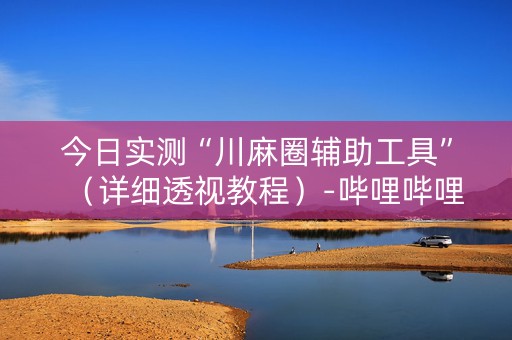今日实测“川麻圈辅助工具”（详细透视教程）-哔哩哔哩