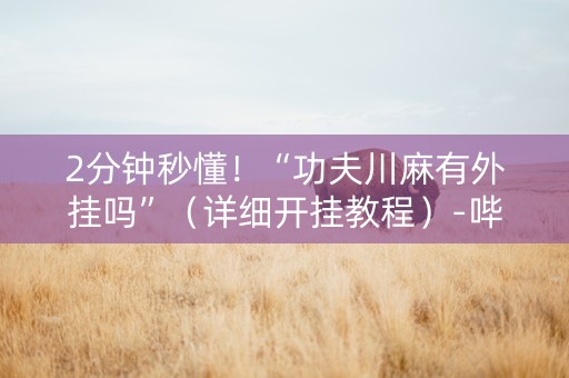 2分钟秒懂！“功夫川麻有外挂吗”（详细开挂教程）-哔哩哔哩