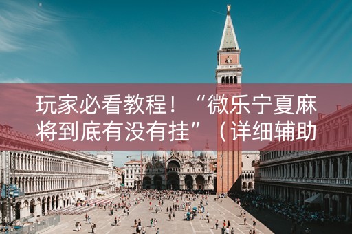 玩家必看教程！“微乐宁夏麻将到底有没有挂”（详细辅助教程）-哔哩哔哩