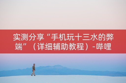 实测分享“手机玩十三水的弊端”（详细辅助教程）-哔哩哔哩