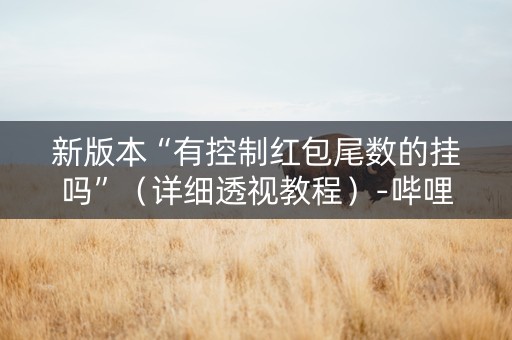 新版本“有控制红包尾数的挂吗”（详细透视教程）-哔哩哔哩
