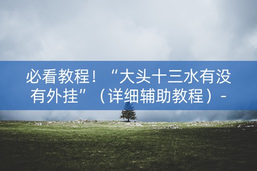 必看教程！“大头十三水有没有外挂”（详细辅助教程）-哔哩哔哩