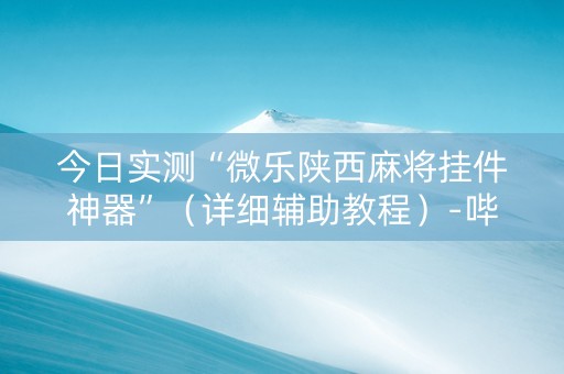 今日实测“微乐陕西麻将挂件神器”（详细辅助教程）-哔哩哔哩