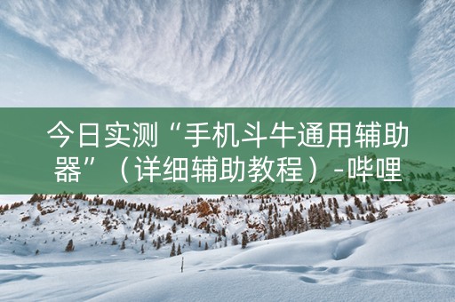 今日实测“手机斗牛通用辅助器”（详细辅助教程）-哔哩哔哩