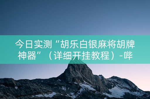 今日实测“胡乐白银麻将胡牌神器”（详细开挂教程）-哔哩哔哩