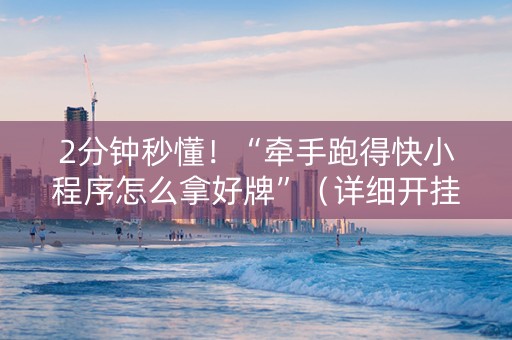 2分钟秒懂！“牵手跑得快小程序怎么拿好牌”（详细开挂教程）-哔哩哔哩