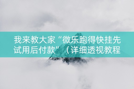 我来教大家“微乐跑得快挂先试用后付款”（详细透视教程）-哔哩哔哩