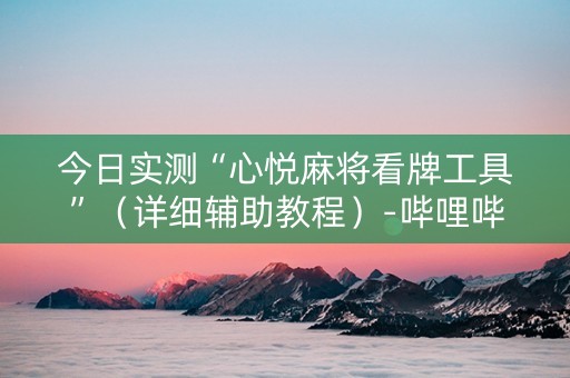 今日实测“心悦麻将看牌工具”（详细辅助教程）-哔哩哔哩