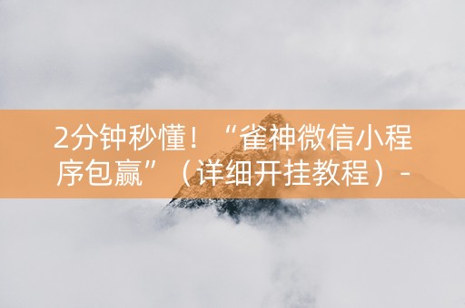 2分钟秒懂！“雀神微信小程序包赢”（详细开挂教程）-哔哩哔哩
