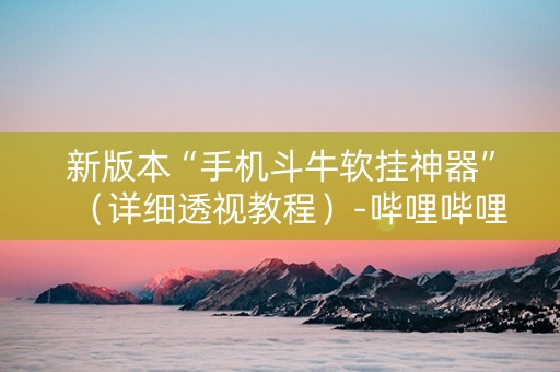 新版本“手机斗牛软挂神器”（详细透视教程）-哔哩哔哩