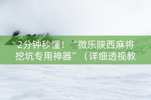 2分钟秒懂！“微乐陕西麻将挖坑专用神器”（详细透视教程）-哔哩哔哩