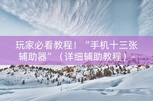 玩家必看教程！“手机十三张辅助器”（详细辅助教程）-哔哩哔哩