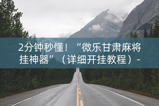 2分钟秒懂！“微乐甘肃麻将挂神器”（详细开挂教程）-哔哩哔哩