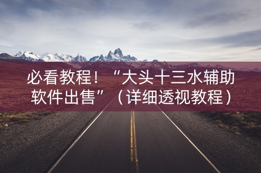 必看教程！“大头十三水辅助软件出售”（详细透视教程）-哔哩哔哩