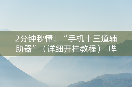 2分钟秒懂！“手机十三道辅助器”（详细开挂教程）-哔哩哔哩