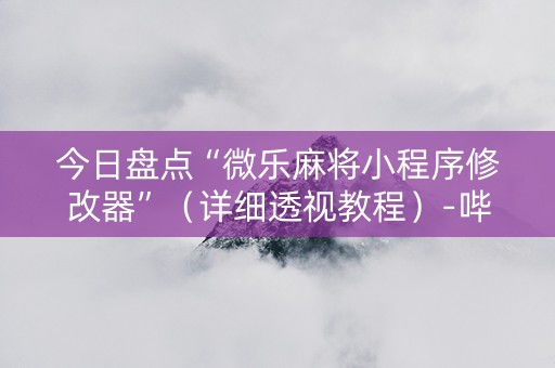 今日盘点“微乐麻将小程序修改器”（详细透视教程）-哔哩哔哩