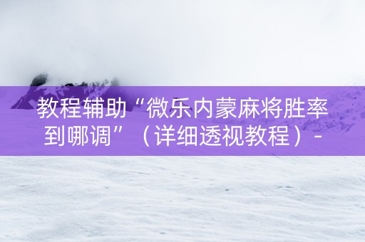 教程辅助“微乐内蒙麻将胜率到哪调”（详细透视教程）-哔哩哔哩