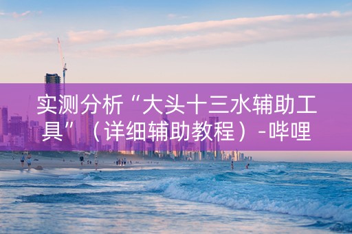 实测分析“大头十三水辅助工具”（详细辅助教程）-哔哩哔哩