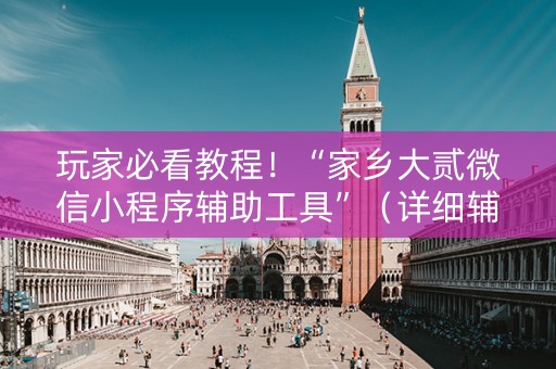 玩家必看教程！“家乡大贰微信小程序辅助工具”（详细辅助教程）-哔哩哔哩