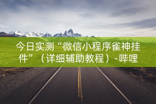 今日实测“微信小程序雀神挂件”（详细辅助教程）-哔哩哔哩