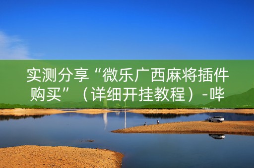 实测分享“微乐广西麻将插件购买”（详细开挂教程）-哔哩哔哩