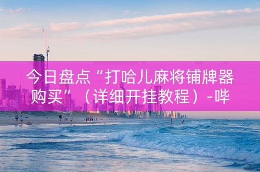 今日盘点“打哈儿麻将铺牌器购买”（详细开挂教程）-哔哩哔哩