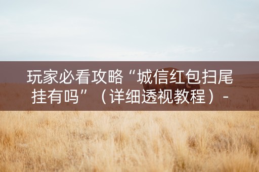 玩家必看攻略“城信红包扫尾挂有吗”（详细透视教程）-哔哩哔哩