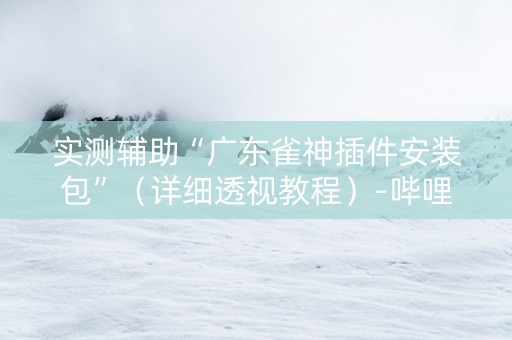 实测辅助“广东雀神插件安装包”（详细透视教程）-哔哩哔哩