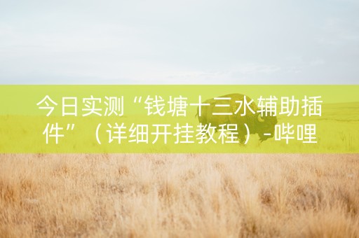 今日实测“钱塘十三水辅助插件”（详细开挂教程）-哔哩哔哩