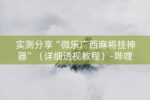 实测分享“微乐广西麻将挂神器”（详细透视教程）-哔哩哔哩
