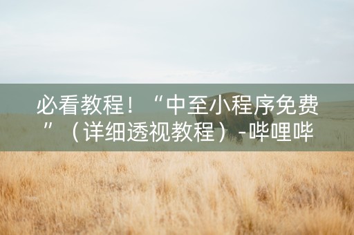 必看教程！“中至小程序免费”（详细透视教程）-哔哩哔哩