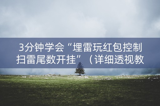 3分钟学会“埋雷玩红包控制扫雷尾数开挂”（详细透视教程）-哔哩哔哩
