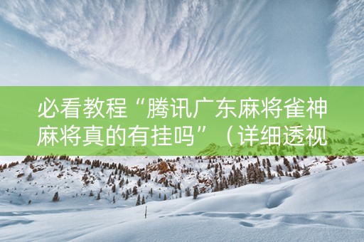 必看教程“腾讯广东麻将雀神麻将真的有挂吗”（详细透视教程）-哔哩哔哩