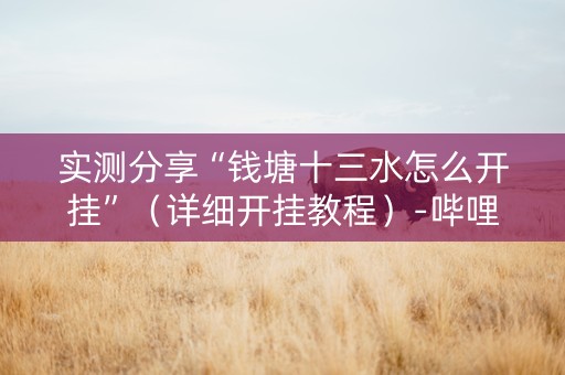 实测分享“钱塘十三水怎么开挂”（详细开挂教程）-哔哩哔哩
