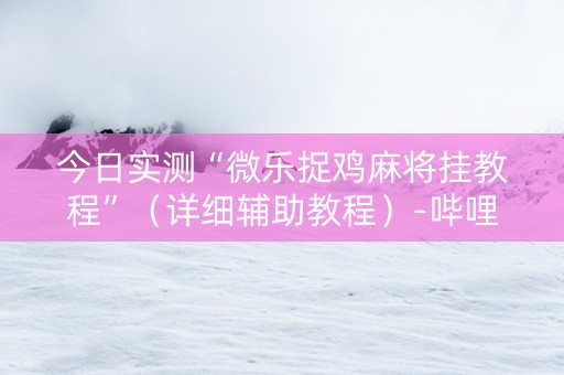 今日实测“微乐捉鸡麻将挂教程”（详细辅助教程）-哔哩哔哩