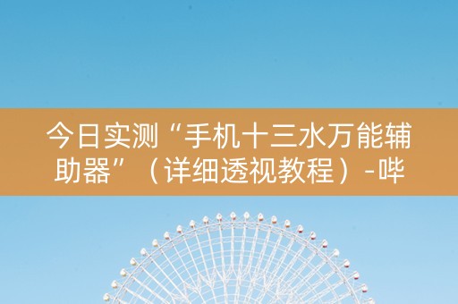 今日实测“手机十三水万能辅助器”（详细透视教程）-哔哩哔哩
