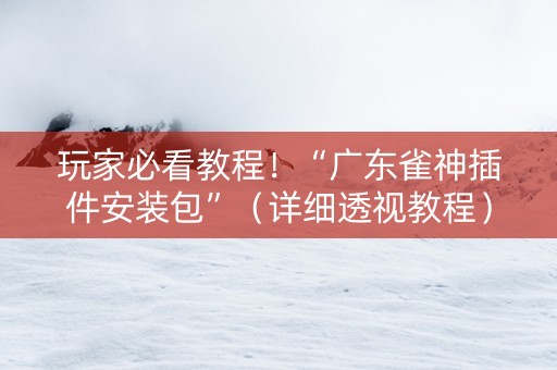 玩家必看教程！“广东雀神插件安装包”（详细透视教程）-哔哩哔哩
