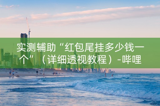 实测辅助“红包尾挂多少钱一个”（详细透视教程）-哔哩哔哩