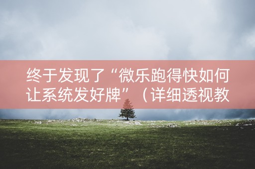 终于发现了“微乐跑得快如何让系统发好牌”（详细透视教程）-哔哩哔哩
