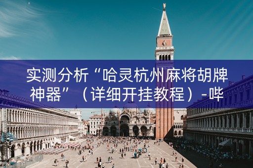 实测分析“哈灵杭州麻将胡牌神器”（详细开挂教程）-哔哩哔哩