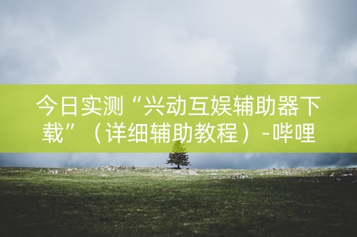 今日实测“兴动互娱辅助器下载”（详细辅助教程）-哔哩哔哩