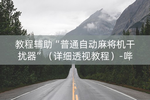 教程辅助“普通自动麻将机干扰器”（详细透视教程）-哔哩哔哩