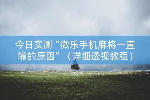 今日实测“微乐手机麻将一直输的原因”（详细透视教程）-哔哩哔哩