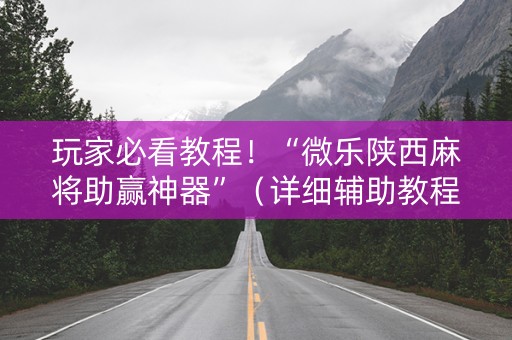 玩家必看教程！“微乐陕西麻将助赢神器”（详细辅助教程）-哔哩哔哩